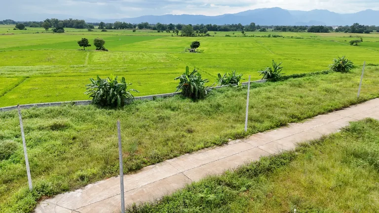 ภาพถนนคอนกรีตภายในที่ดินแม่จันและพื้นที่ข้างเคียง